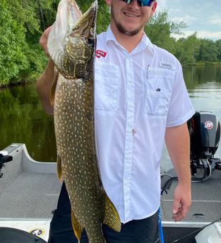 Northern Pike from Central Wisconsin